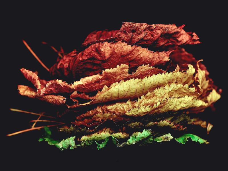 地铁2035<br>kclfxfu.cn 地下城求生记